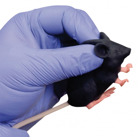 Symulator myszy laboratoryjnej - zdjecie nr: 2