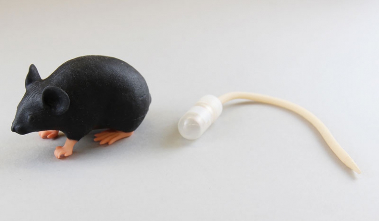 Symulator myszy laboratoryjnej - zdjecie nr: 3