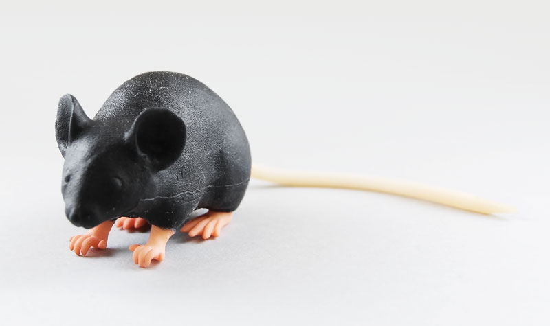 Symulator myszy laboratoryjnej - zdjecie nr: 1