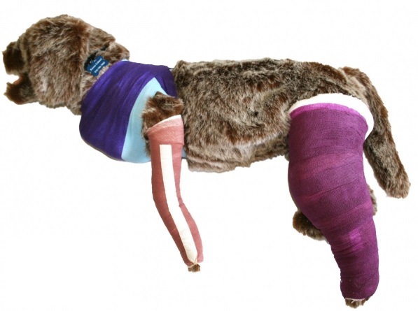 Manekin psa do nauki bandażowania i zakładania opatrunków - zdjecie nr: 1