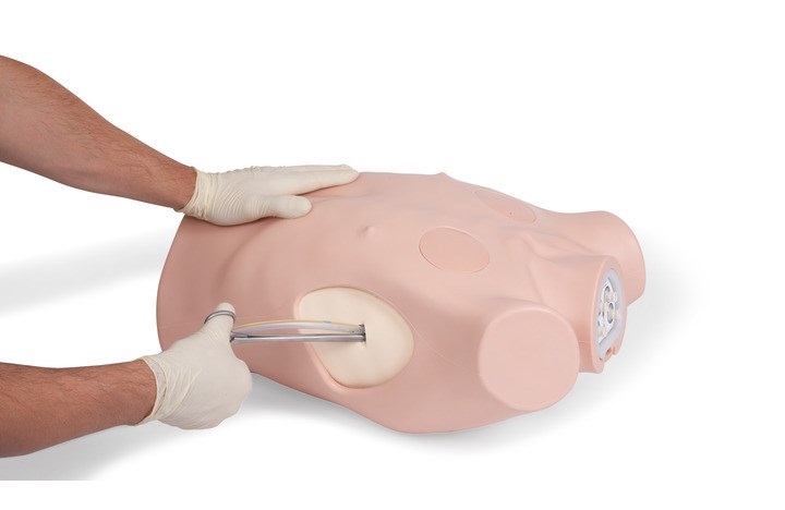 Symulator klatki piersiowej do nauki drenażu i odbarczenia igłowego - zdjecie nr: 1
