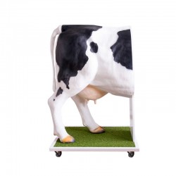 Krowa Emma - Zaawansowany symulator do inseminacji (unasienniania) krowy - zdjecie nr: 2