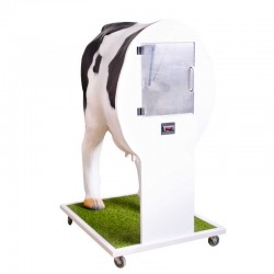 Krowa Emma - Zaawansowany symulator do inseminacji (unasienniania) krowy - zdjecie nr: 3