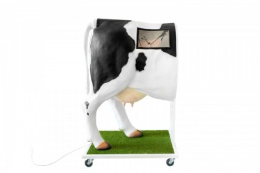 Krowa Emma - Zaawansowany symulator do inseminacji (unasienniania) krowy - zdjecie nr: 5